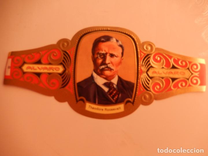 Vitolas de colecci&oacute;n: VITOLA ALVARO SERIE PREMIOS NOBEL- THEODORE ROOSELVET