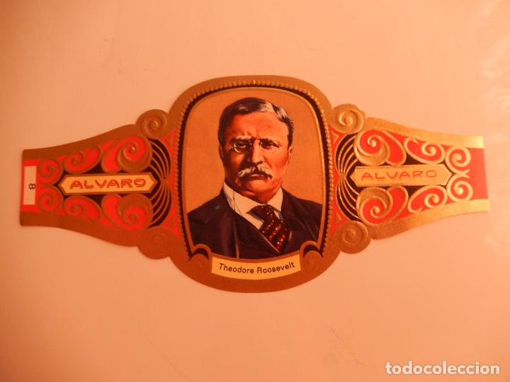 Vitolas de colecci&oacute;n: VITOLA ALVARO SERIE PREMIOS NOBEL- THEODORE ROOSELVET