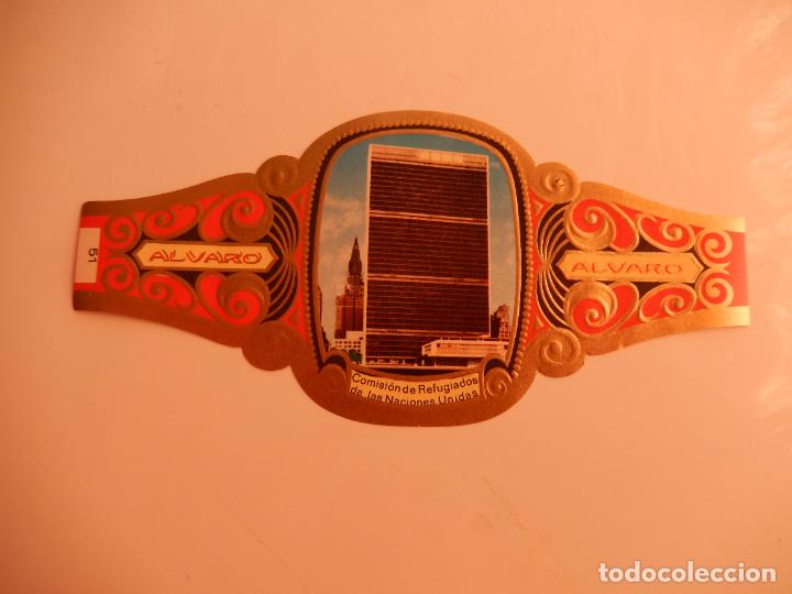 Sammlung von Banderolen: VITOLA ALVARO SERIE PREMIOS NOBEL- COMISION DE REFUGIADOS DE LAS NACIONES UNIDAS