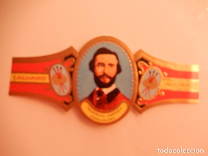 Sammlung von Banderolen: VITOLA ALVARO SERIE PINTORES - FEDERICO JIMENEZ FERNANDEZ