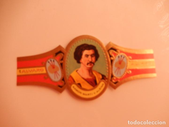 Sammlung von Banderolen: VITOLA ALVARO SERIE PINTORES - RAMON MARTI Y ALSINA