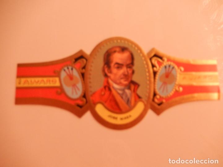 Sammlung von Banderolen: VITOLA ALVARO SERIE PINTORES - JOSE MAEA