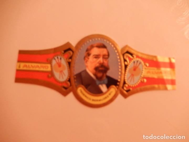 Sammlung von Banderolen: VITOLA ALVARO SERIE PINTORES - FEDERICO BERMUDEZ