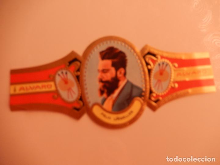 Sammlung von Banderolen: VITOLA ALVARO SERIE PINTORES - FELIX URGELLES