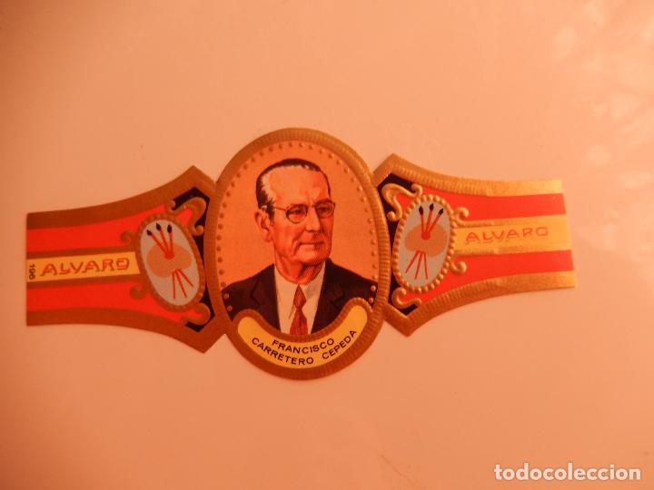 Sammlung von Banderolen: VITOLA ALVARO SERIE PINTORES - FRANCISCO CARRETERO