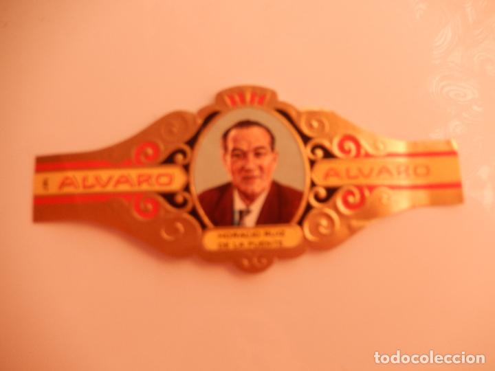 Sammlung von Banderolen: VITOLA ALVARO SERIE LITERATOS - ENRIQUE SUAREZ DE DEZA