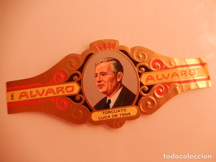 Sammlung von Banderolen: VITOLA ALVARO SERIE LITERATOS - TORCUATO LUCA DE TENA