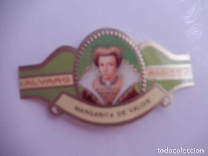 Sammlung von Banderolen: VITOLA ALVARO SERIE MUJERES FAMOSAS EN LA HISTORIA - MARGARITA DE VALOIS