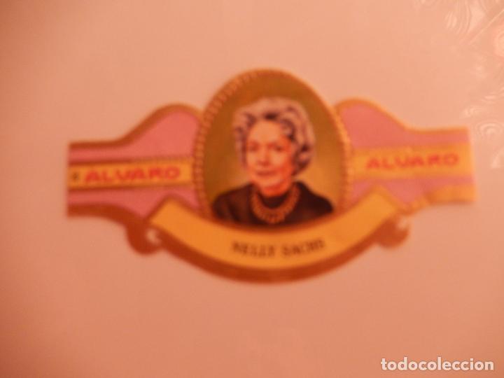 Sammlung von Banderolen: VITOLA ALVARO SERIE MUJERES FAMOSAS EN LA HISTORIA - NELLY SACHS