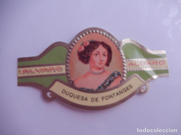 Sammlung von Banderolen: VITOLA ALVARO SERIE MUJERES FAMOSAS EN LA HISTORIA - DUQUESA DE FONTANGES