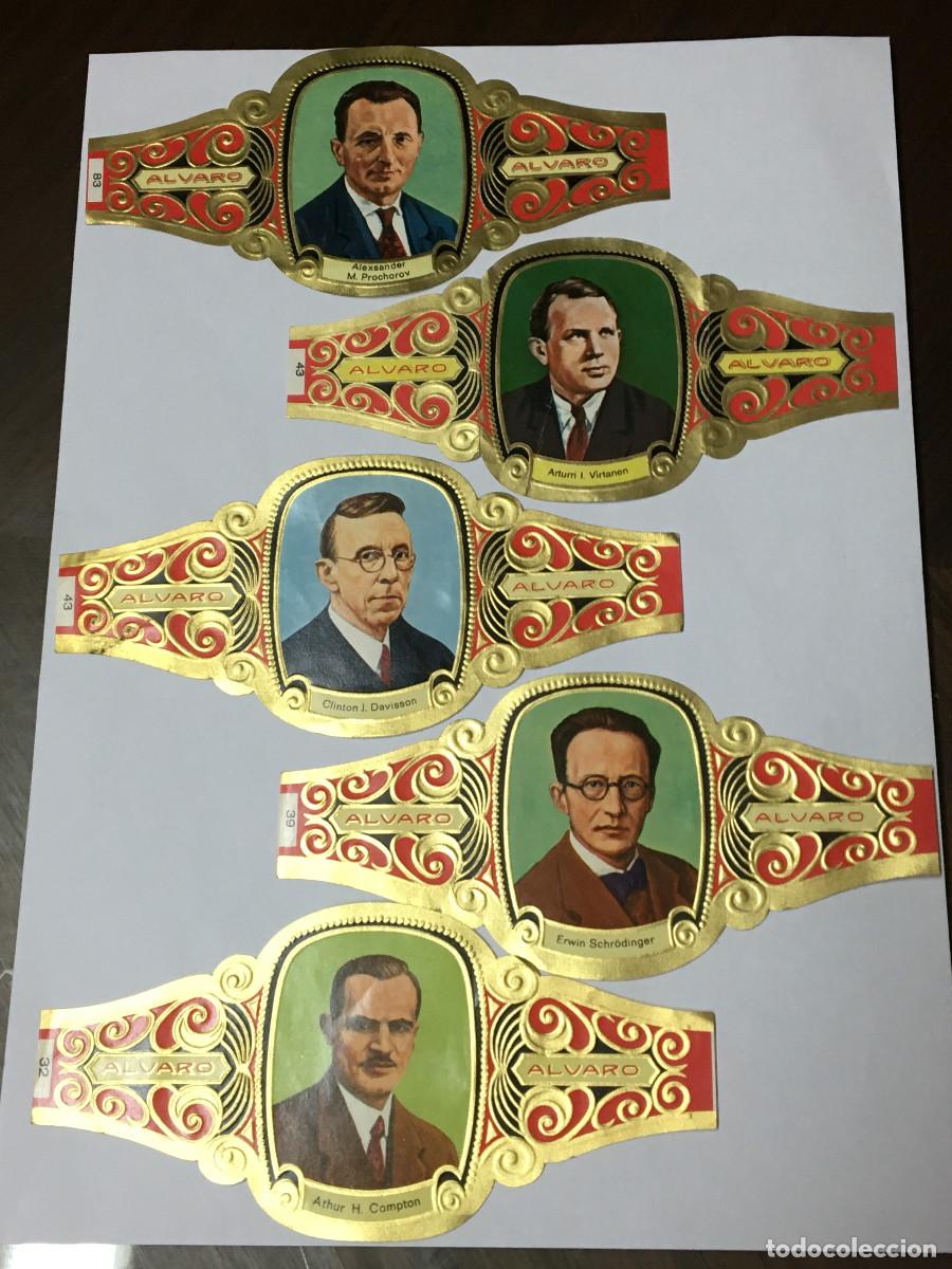 Vitolas de colecci&oacute;n: 5 vitolas de puro - Foto 1