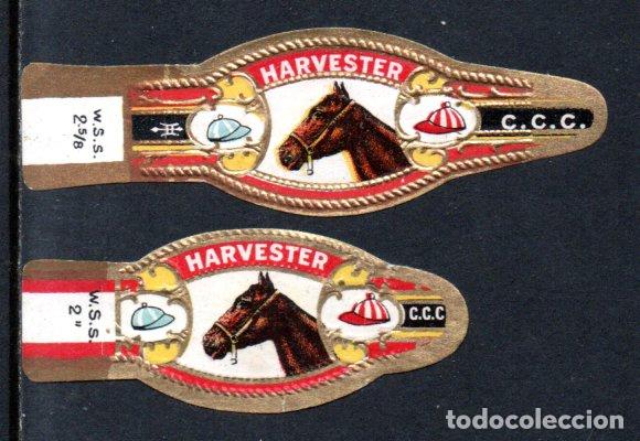 Vitolas de colecci&oacute;n: VITOLAS C.C.C. - CABALLOS - Foto 1