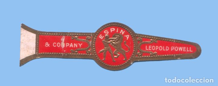 Collection cigar bands: VITOLA ANTIGUA - Procedencia USA - Espina. Leopold Powell & Co. - Tem&aacute;tica Fauna - Le&oacute;n