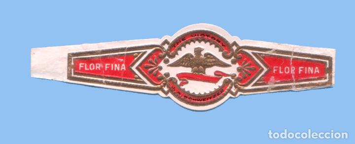 Bagues de cigare de collection: VITOLA ANTIGUA - Procedencia USA - Marca The Victory - Tem&aacute;tica Fauna - &Aacute;guila