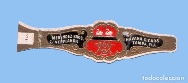 Bagues de cigare de collection: VITOLA ANTIGUA - Procedencia USA - Menendez Bros. - Tem&aacute;tica Fauna - Cisne