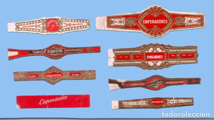 Sammlung von Banderolen: 8 VITOLAS ANTIGUAS - SIN MARCA - CON EL TEXTO &rdquo;ESQUISITOS, EMBAJADORES, ETC..&rdquo;