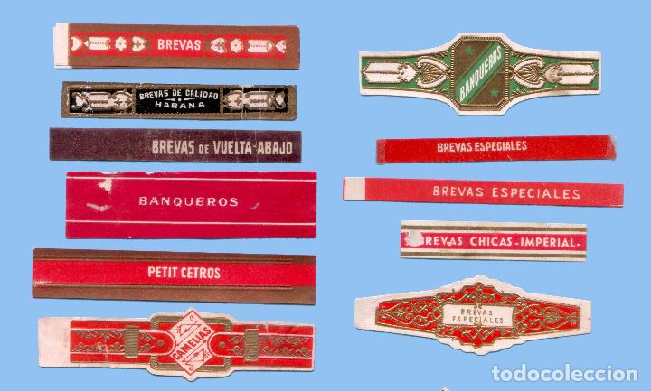 Sammlung von Banderolen: 11 VITOLAS ANTIGUAS - SIN MARCA - CON EL TEXTO &rdquo;BREVAS, BANQUEROS, CAMELIAS&rdquo;