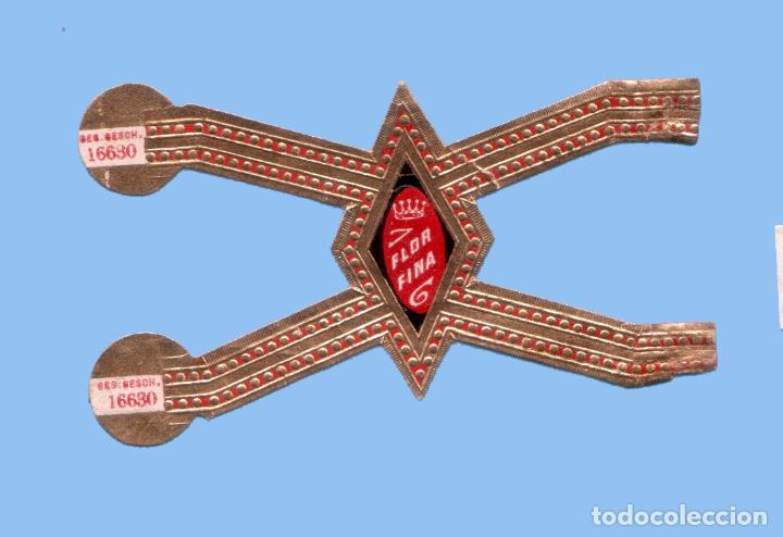 Sammlung von Banderolen: VITOLA ANTIGUA - SIN MARCA - FORMATO MUY ORIGINAL - CON EL TEXTO &rdquo;FLOR FINA&rdquo; -