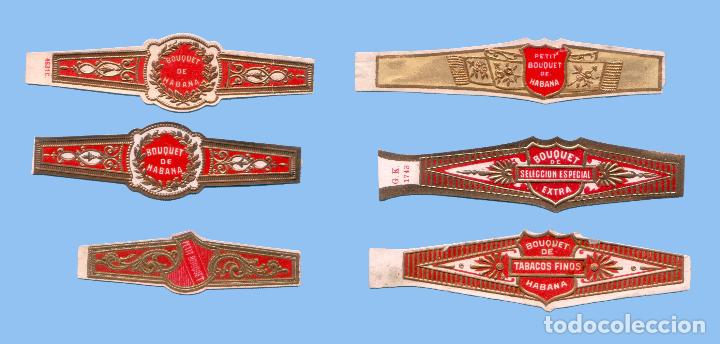 Sammlung von Banderolen: 6 VITOLAS ANTIGUAS - SIN MARCA - CON EL TEXTO &rdquo;BOUQUET&rdquo;