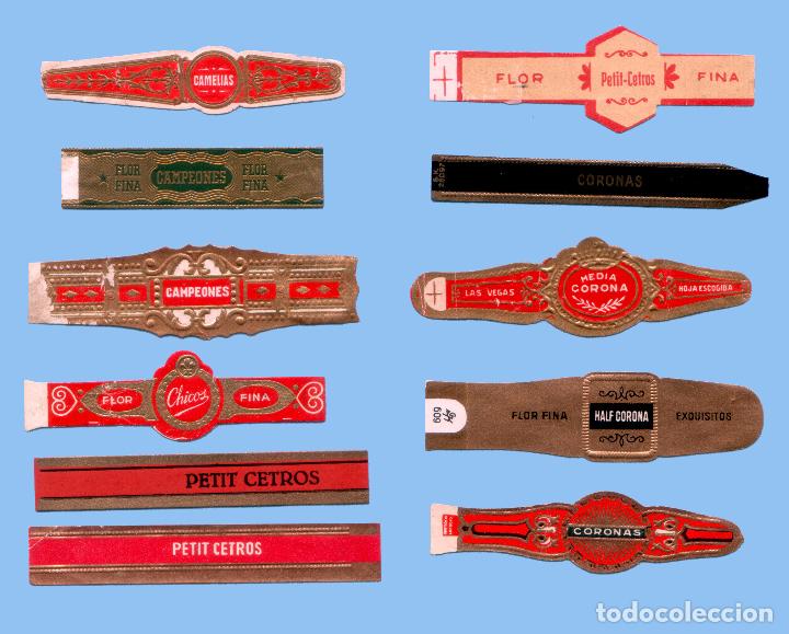 Sammlung von Banderolen: 11 VITOLAS ANTIGUAS - SIN MARCA - CON EL TEXTO &rdquo;CAMELIAS, CAMPEONES, CETROS, CORONAS&rdquo;