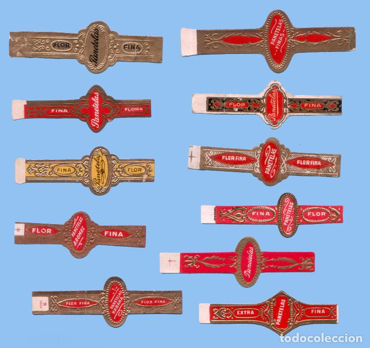 Sammlung von Banderolen: 11 VITOLAS ANTIGUAS - SIN MARCA - CON EL TEXTO &rdquo;PANATELAS&rdquo;