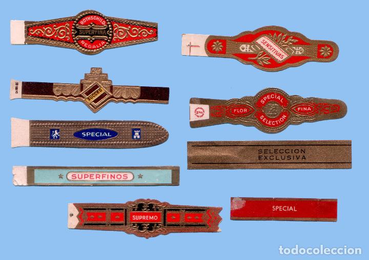 Sammlung von Banderolen: 9 VITOLAS ANTIGUAS - SIN MARCA - CON EL TEXTO &rdquo;SUPERFINOS, SENSITIVAS, SPECIAL &rdquo;