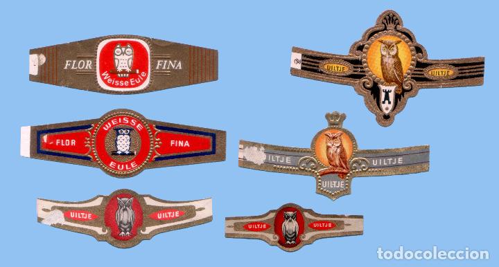Collection cigar bands: 6 VITOLAS ANTIGUAS - TEM&Aacute;TICA FAUNA - BUHOS