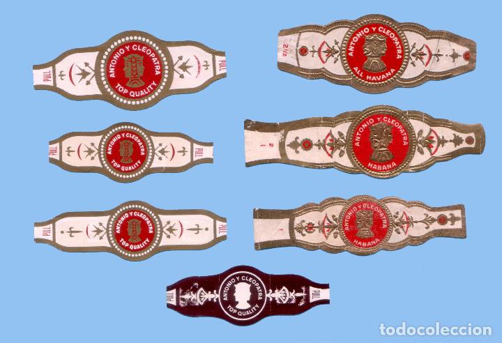 Collection cigar bands: 7 VITOLAS CUBANAS ANTIGUAS - MARCA ANTONIO Y CLEOPATRA