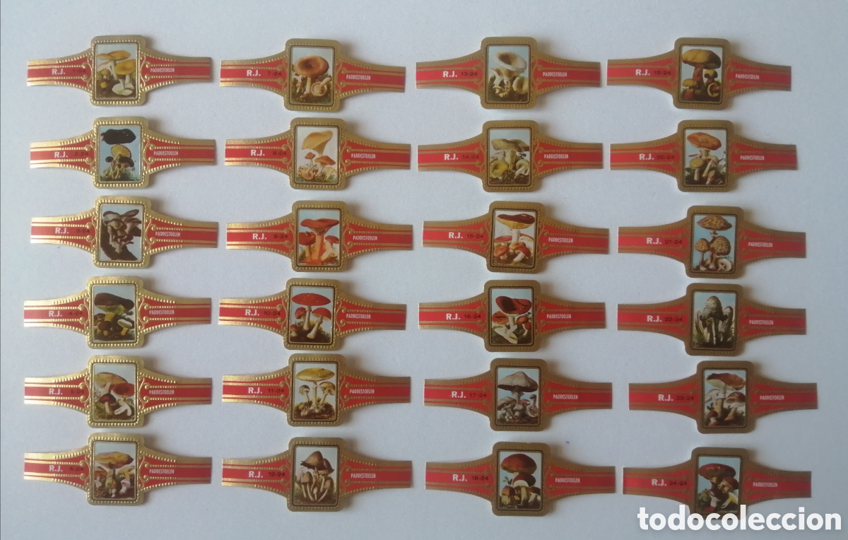 Sammlung von Banderolen: LOTE COLECCION COMPLETA DE 24 VITOLAS R. J. SETAS. PADDESTOELEN.