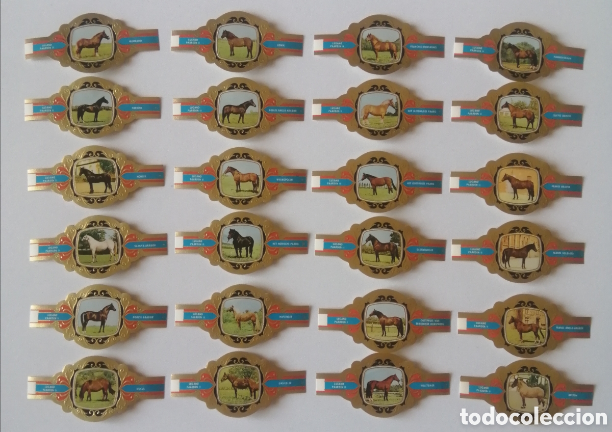 Sammlung von Banderolen: LOTE COLECCION COMPLETA DE 24 VITOLAS LUGANO SERIE PAARDEN II