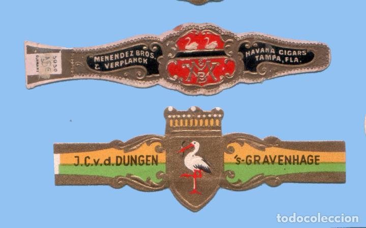 Collection cigar bands: 2 VITOLAS ANTIGUAS - DISTINTAS MARCAS - TEM&Aacute;TICA FAUNA - AVES (PALM&Iacute;PEDAS)