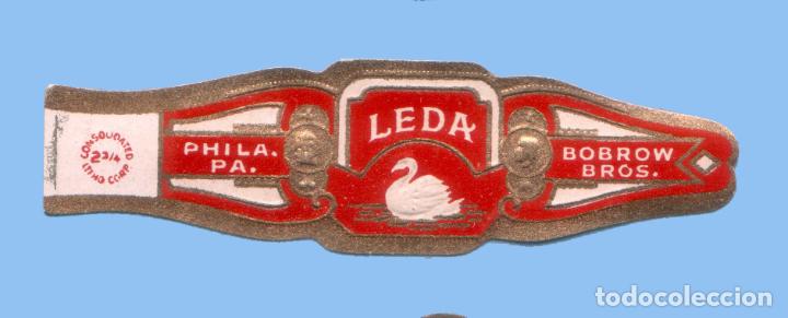 Collection cigar bands: VITOLA ANTIGUA - MARCA LEDA - Bobrow Bros. (USA) - TEM&Aacute;TICA FAUNA (CISNE)