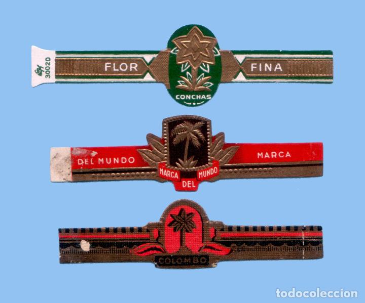 Collection cigar bands: 3 VITOLAS ANTIGUAS - DISTINTAS MARCAS - TEM&Aacute;TICA &Aacute;RBOLES - PALMERAS