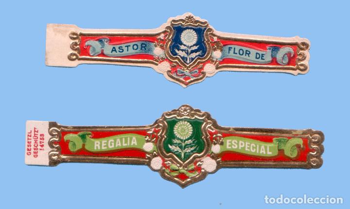 Collection cigar bands: 2 VITOLAS ANTIGUAS - MARCA FLOR DE ASTOR - TEM&Aacute;TICA FLORES