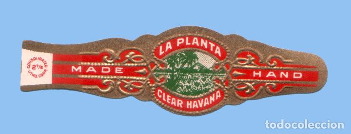 Vitolas de colecci&oacute;n: VITOLA ANTIGUA - MARCA LA PLANTA (USA) - TEM&Aacute;TICA EDIFICACIONES - Foto 1