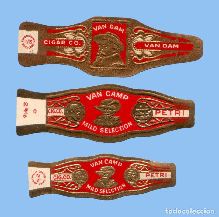An&eacute;is de charuto de cole&ccedil;&atilde;o: 3 VITOLAS ANTIGUAS - MARCAS VAN DAM Y VAN CAMP (USA) - TEM&Aacute;TICA HOMBRES