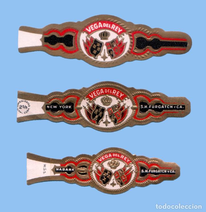 Vitolas de colecci&oacute;n: 3 VITOLAS ANTIGUAS - MARCA VEGA DEL REY (USA) - TEM&Aacute;TICA BANDERAS