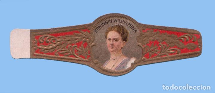 Vitolas de colecci&oacute;n: VITOLA ANTIGUA - SIN MARCA - TEM&Aacute;TICA CASAS REALES - LA REINA GUILLERMINA DE HOLANDA