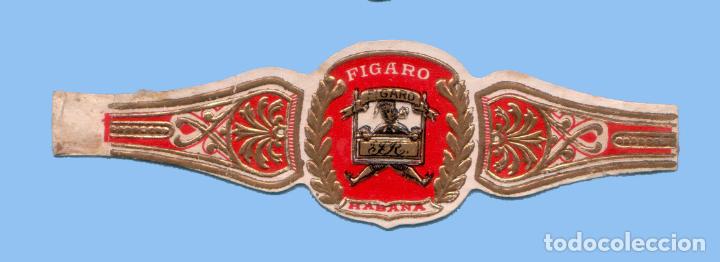 Vitolas de colecci&oacute;n: VITOLA CUBANA ANTIGUA - MARCA FIGARO - FORMATO GRANDE
