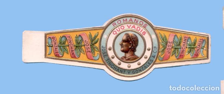 Bagues de cigare de collection: VITOLA ANTIGUA - MARCA QUO VADIS. JOSE TINCHANT Y GONZALES (B&Eacute;LGICA) - TEM&Aacute;TICA HOMBRES