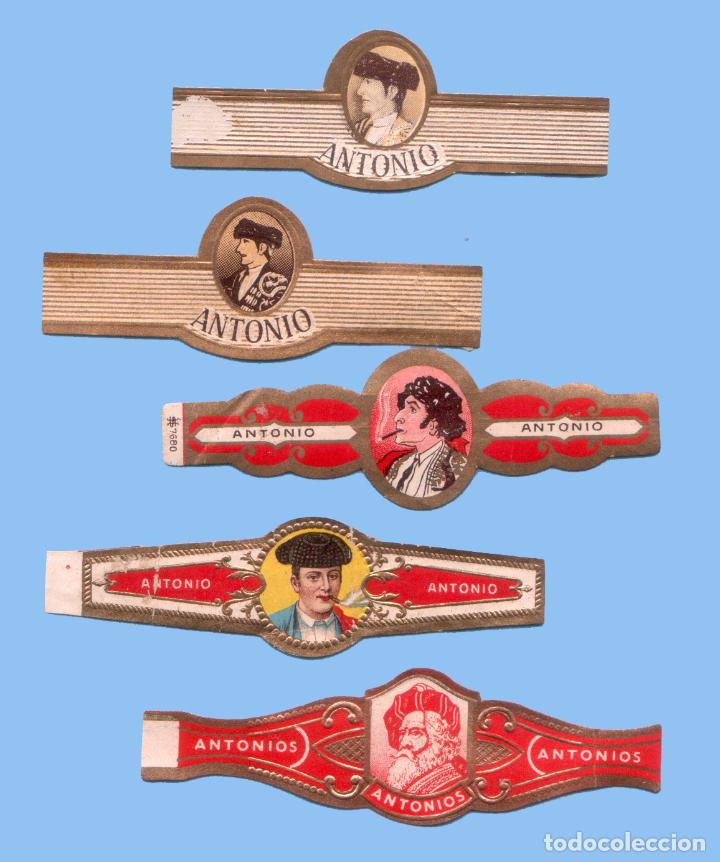 Bagues de cigare de collection: 5 VITOLAS ANTIGUAS - MARCA ANTONIO - PROCEDENCIA EUROPEA - TEM&Aacute;TICA HOMBRES