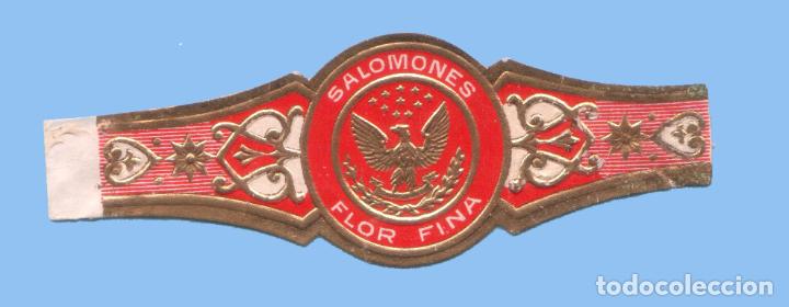 Bagues de cigare de collection: VITOLA ANTIGUA - SIN MARCA - TEM&Aacute;TICA &Aacute;GUILAS -SALOMONES