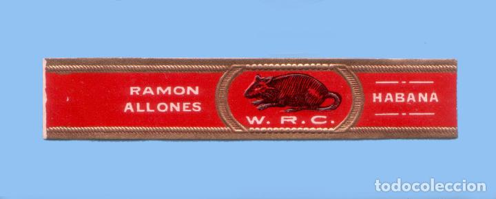 Collection cigar bands: VITOLA CUBANA ANTIGUA - MARCA RAMON ALLONES - TEM&Aacute;TICA FAUNA - RATA