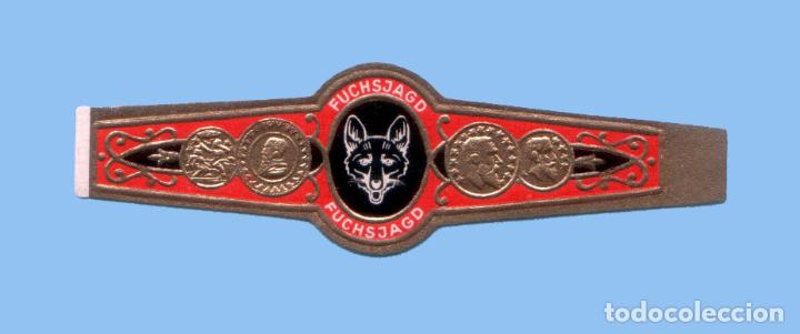Collection cigar bands: VITOLA ANTIGUA - MARCA FUCHAJAGD - TEM&Aacute;TICA FAUNA - COYOTE