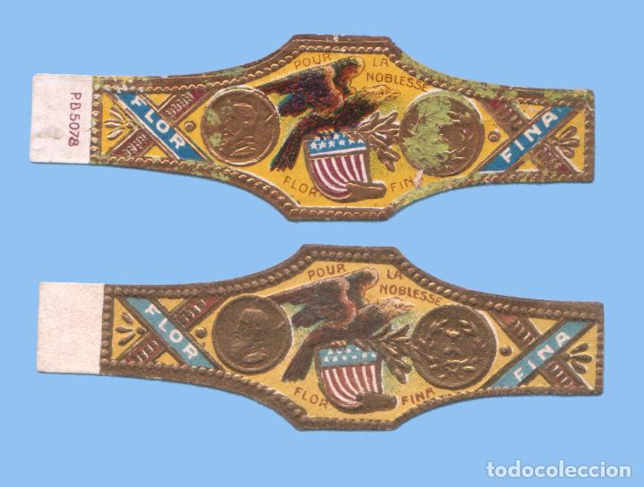 Collection cigar bands: 2 VITOLAS ANTIGUAS - SIN MARCA. POUR LA NOBLESSE - TEM&Aacute;TICA FAUNA - &Aacute;GUILAS