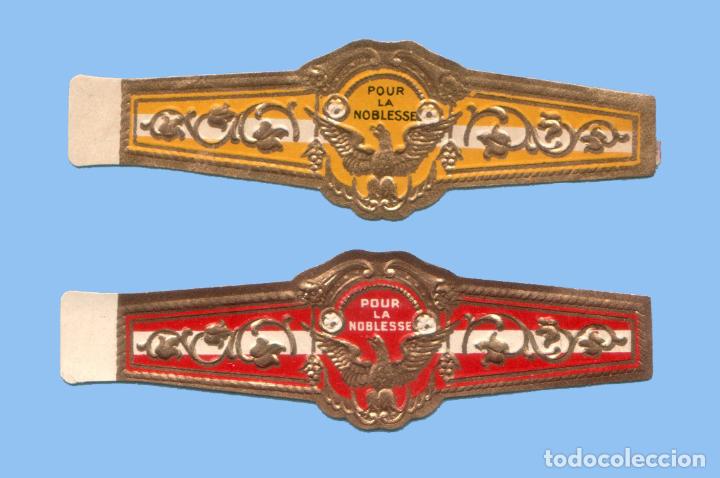 Collection cigar bands: 2 VITOLAS ANTIGUAS - SIN MARCA. POUR LA NOBLESSSE - TEM&Aacute;TICA FAUNA - &Aacute;GUILAS