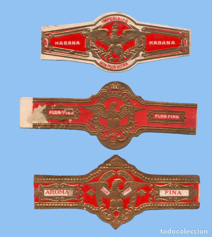Collection cigar bands: 3 VITOLAS ANTIGUAS - SIN MARCA - TEM&Aacute;TICA &Aacute;GUILAS