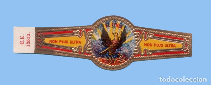 Collection cigar bands: VITOLA ANTIGUA - SIN MARCA - TEM&Aacute;TICA MITOLOG&Iacute;A - EL FENIX (G. K. 12512)