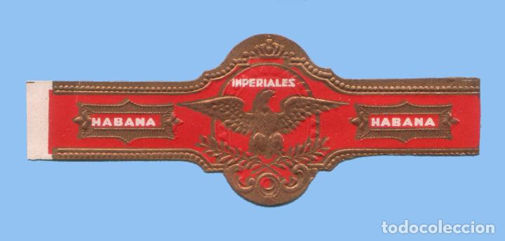 Collection cigar bands: VITOLA ANTIGUA - SIN MARCA. IMPERIALES - TEM&Aacute;TICA AGUILAS