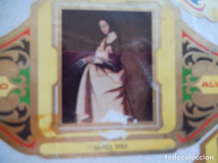 Bagues de cigare de collection: SANTA INES - VITOLA ALVARO CUADROS PINTORES ESPA&Ntilde;OLES -